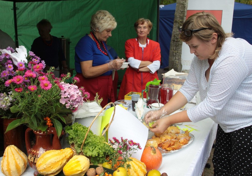 Tłumy smakoszy na Festiwalu Ziemniaka w Muzeum Wsi Radomskiej. Było wiele konkursów i pokazów [ZDJĘCIA]