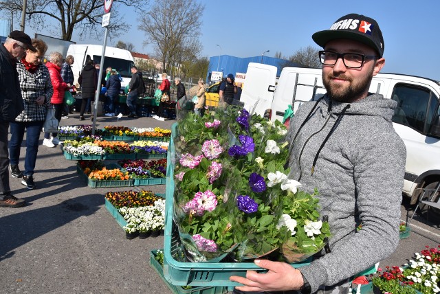 Na ryneczku Jerzego w Gorzowie jest coraz więcej punktów z kwiatami.
