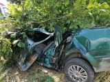 Wypadek na trasie Szczuczyn - Bzury. Kobieta trafiła do szpitala po uderzeniu w drzewo. Cud że przeżyła (zdjęcia)