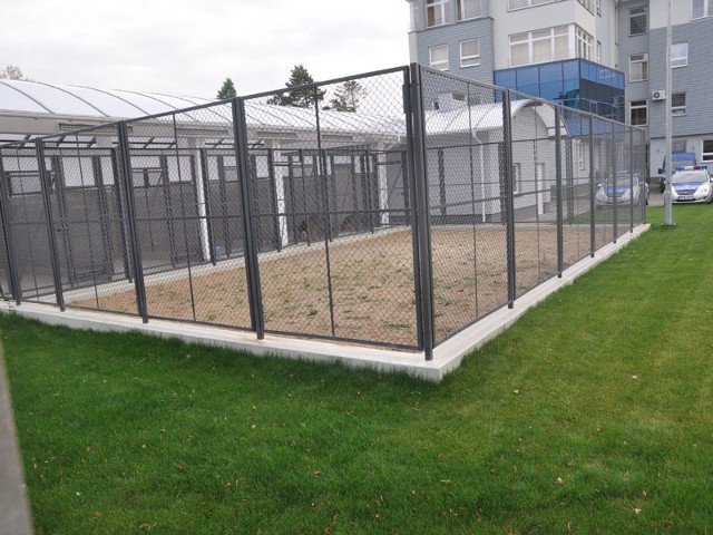 Kojce dla psów policyjnych są w niewielkiej odległości od bloku przy ulicy Polnej.