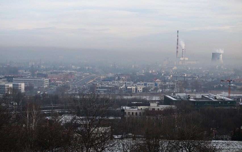 Co wiemy o smogu? Krakowski Alarm Smogowy zapytał o to Małopolan. Zobacz wyniki badania