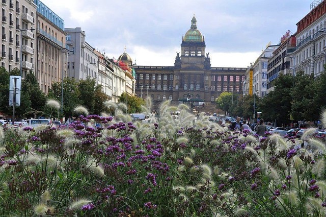 Praga. Plac Wacława