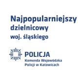 Wybieramy najpopularniejszych dzielnicowych [PLEBISCYT]