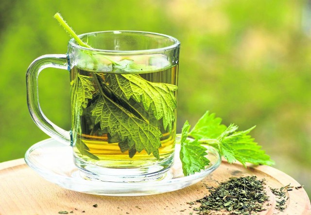 Herbata z młodych listków pokrzywy przegoni wiosenne zmęczenie