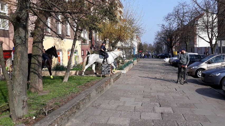 Patrole konne pojawiły się na ulicach Szczecina [ZDJĘCIA]