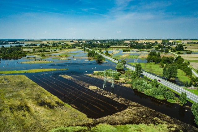 Tak niedawno wyglądały zalane pola w gminie Pacanów, zdjęcie z połowy sierpnia.