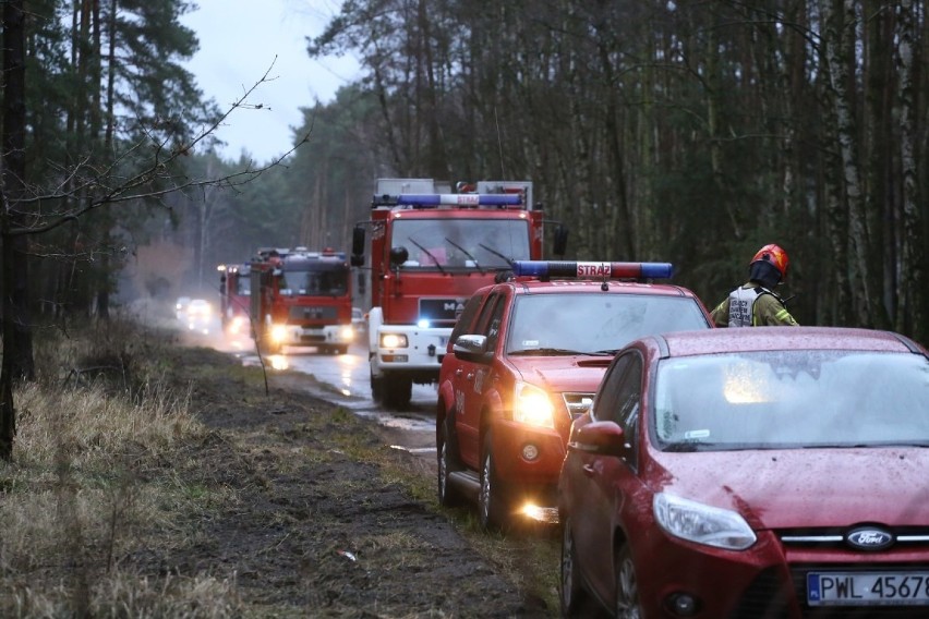 W Bolewicku, w lesie znaleziono 7 wyrzuconych pojemników....