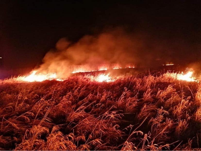 Rekord pożarów traw w regionie świętokrzyskim. W miniony weekend strażacy wyjeżdżali ponad 160 razy