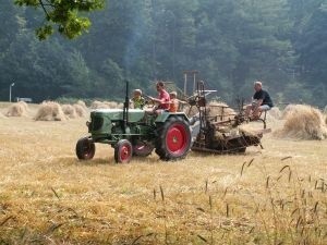 W 2009 roku wypadków przy pracy w gospodarstwach rolnych było ponad 8 tys. Wśród ofiar wypadków są także i dzieci.