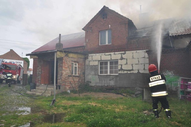 Akcja gaśnicza szczecineckich strażaków w Jeleninie.