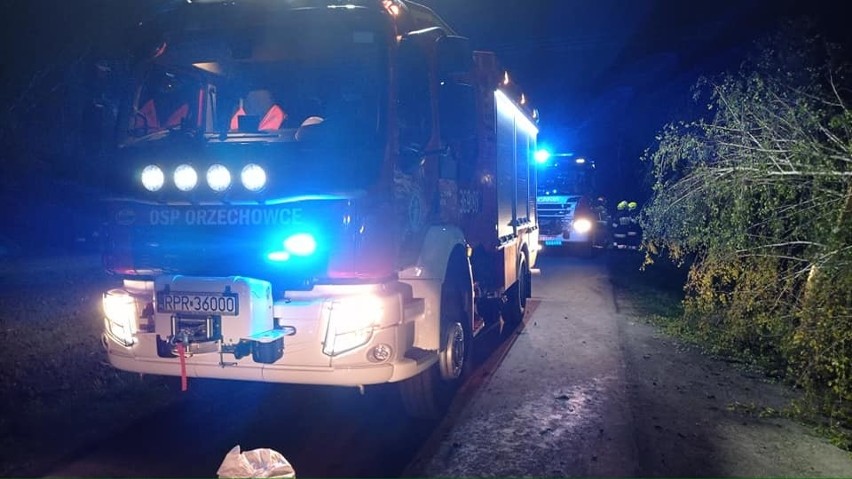 Wypadek BMW w Orzechowcach koło Przemyśla. Do szpitala trafiła jedna osoba [ZDJĘCIA]