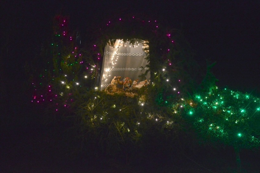 Prawdziwa szopka w maleńkim Poborowie. Na podwórku Zenona Kiżewskiego można oglądać piękną instalację świąteczną
