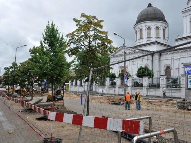 Urzędnicy kilka lat temu zadecydowali, by posadzić drzewa na ul. Lipowej