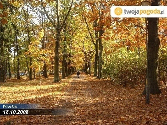 Jesień w parku we Wrocławiu rok po roku. Zobacz zdjęcia!