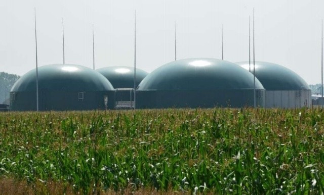 Elektrociepłownia na biogaz rolniczy w Starym Korninie (województwo podlaskie) należąca do Polskiej Grupy Biogazowej.