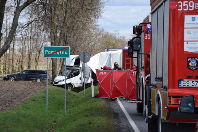 Do ostatniego wypadku doszło w poniedziałek, 3 kwietnia, na drodze krajowej nr 70 w miejscowości Pamiętna pod Skierniewicami.