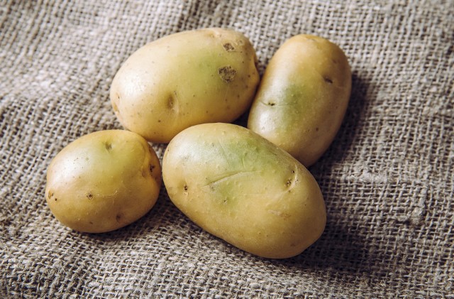Poziom solaniny w ziemniakach normalnie nie jest wysoki, ale wzrasta znacznie m.in. w tych zielonych i kiełkujących. Tych części nie wolno jeść.