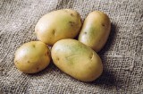 Ziemniaki – popularne warzywo, które łatwo może zaszkodzić. Takich nie jedz, bo się zatrujesz! Co zrobić z zielonymi ziemniakami i oczkami?