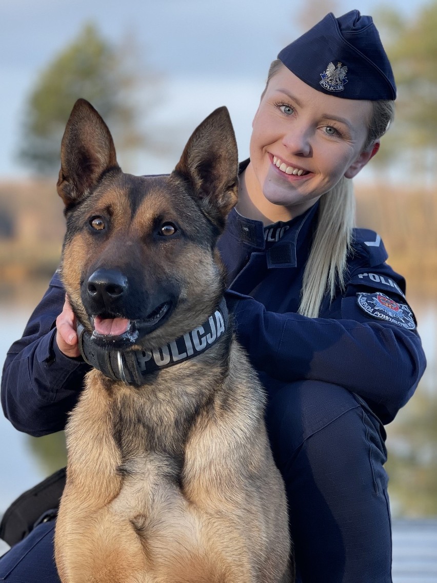 Psi patrol. Jakie psy służą w policji, co tam robią, jak wygląda życie psa służbowego?