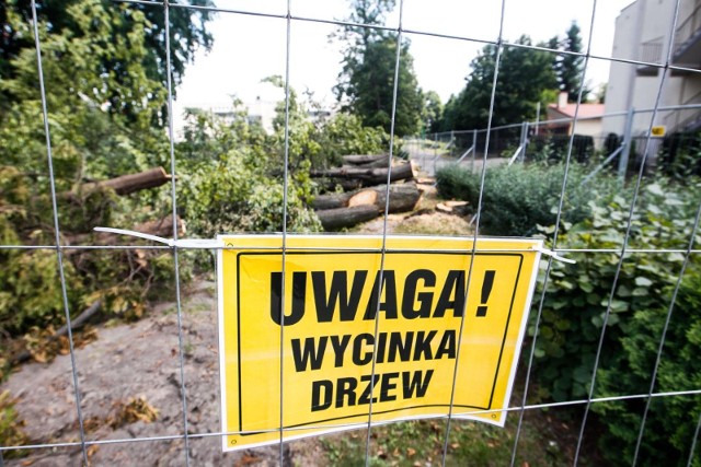 Zobacz, gdzie zaplanowano wycinkę drzew w Fordonie. Publikujemy pełne informacje oraz mapki, udostępnione przez Fordońską Spółdzielnię Mieszkaniową.Kliknij w strzałkę obok zdjęcia lub przesuń je gestem >>>