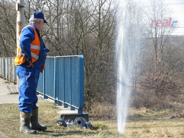 zdjęcie ilustracyjne