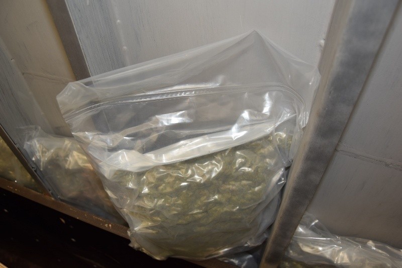 20 kg marihuany znaleziono w specjalnej skrytce [zdjęcia]