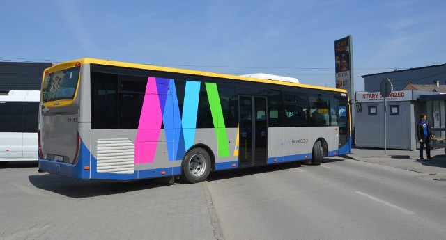 Autobus w barwach Kolei Małopolskich wyjeżdża z przystanku w Proszowicach