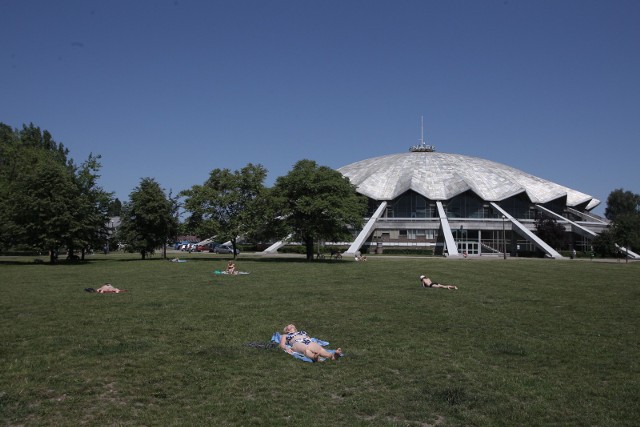 Park Kasprowicza to nie tylko zadrzewione alejki, zieleń i łąki. W parku znajdują się także place zabaw, hala widowiskowo-sportowa Arena, stadion sportowy klubu „Energetyk” i odkryta pływalnia. W sąsiedztwie jest Rodzinny Ogród Działkowy przy ul. Reymonta oraz działa Łuczniczy Klub Sportowy „Surma”. Okazuje się, że dalsze przeznaczenie każdego z tych obiektów stoi pod znakiem zapytania. Jaka przyszłość czeka park Kasprowicza?Czytaj dalej --->