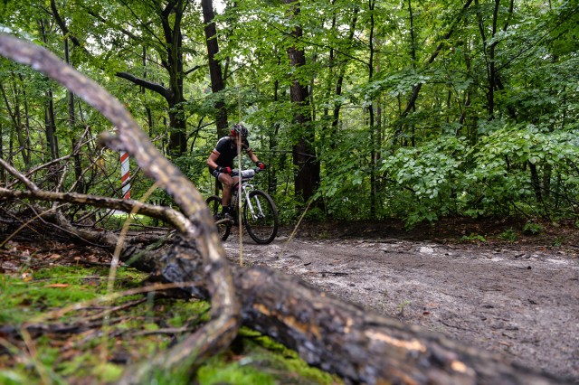 W Janowie Lubelskim - MajówkaCisowianka Mazovia MTB Marathon to impreza dla pasjonatów rowerów w wydaniu MTB, czyli terenowym. Uczestnikami są dzieci, młodzież i dorośli w różnych kategoriach wiekowych. Zawody w tym roku odbędą się na dystansach: Hobby - 6 km, Fit - 23 km, 1/2Pro - 48 km i Pro - 70 km. Rajd odbędzie się po malowniczych ostępach Lasów Janowskich. W ubiegłym roku udział w rajdzie wzięło ponad 500 osób, podczas tej edycji organizatorzy spodziewają się aż tysiąca chętnych. Na kibiców rowerowych zmagań również będą czekać atrakcje,  w tym: kiermasz produktów regionalnych, rękodzieła, namiot kreatywny dla dzieci z zabawami i konkursami oraz Miasteczko Rybki Mini Mini i pełna oferta Parku Rekreacji Zoom Natury. Zapisy na rajd w sobotę i niedzielę u organizatorów.Niedziela, Park rekreacji Zoom Natura w Janowie lubelskim, godz. 10.00, wstęp wolny