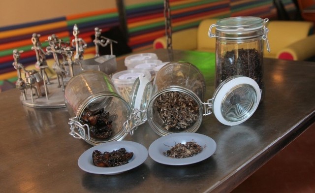W barze Insekt serwowane są m.in. drinki, sałatki i kanapki z suszonymi mrówkami, karaczanami i świerszczami