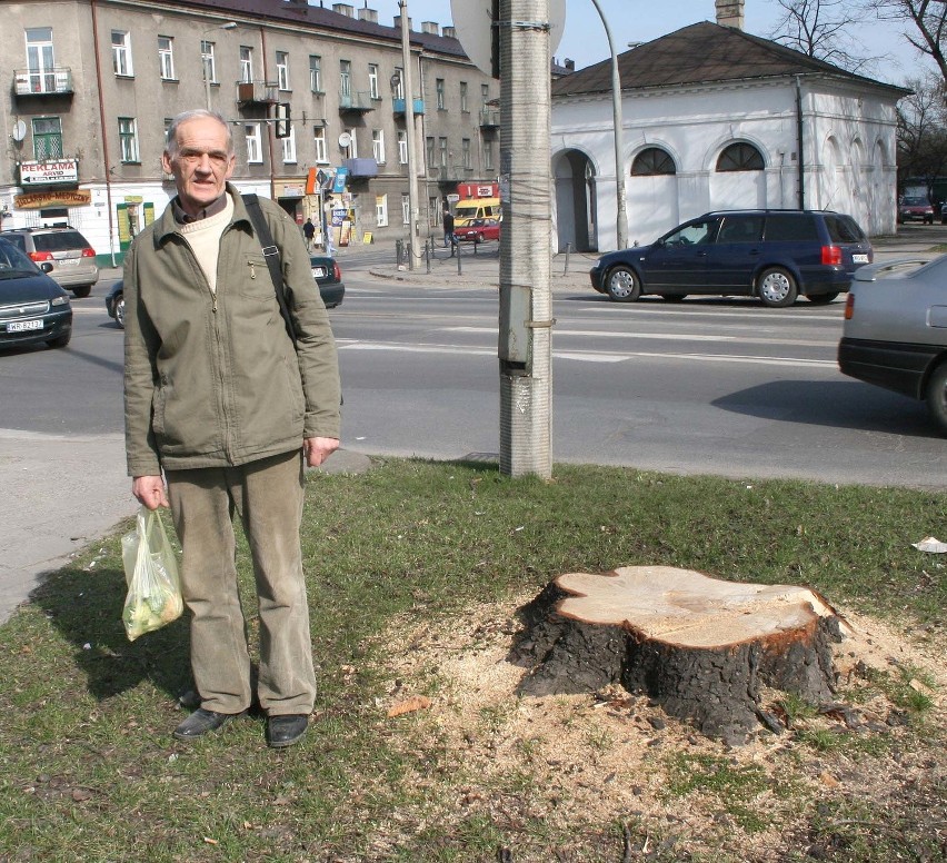 Te drzewa rosnące przy skrzyżowaniu ulic Malczewskiego i...
