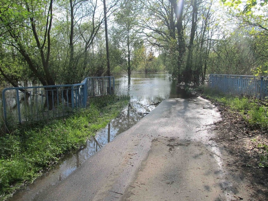 Wrocław: Woda z Bystrzycy zalała ulicę Gałowską na Jarnołtowie