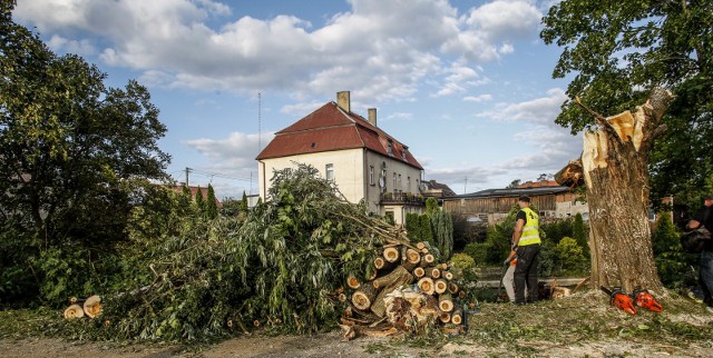 Skutki nawałnicy, która z 11 na 12 bm. przeszła nad Pomorzem.