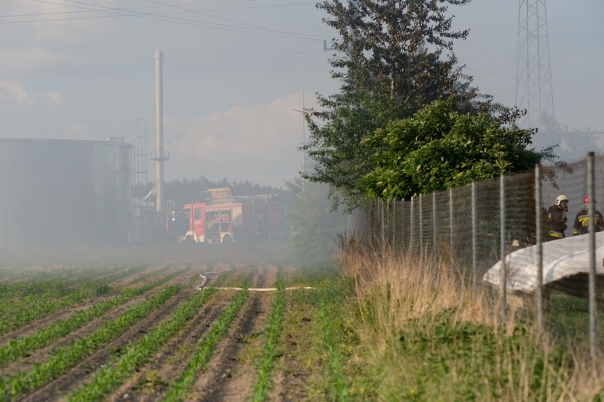 Zakrzewo: Ogromny pożar hali w stoczni produkującej jachty. Słup dymu widać z Poznania