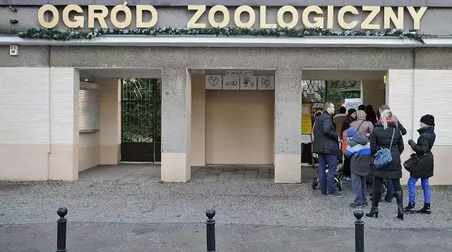 Stare Zoo już wkrótce zyska kolejną - także bezpłatną - atrakcję. Muzeum Zoo i Lwa będzie można zwiedzać już wiosną.