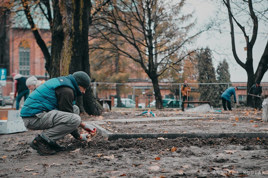 Sadzili żonkile w parku kieszonkowym w Oświęcimiu, którego otwarcie planowane jest już wkrótce [ZDJĘCIA]