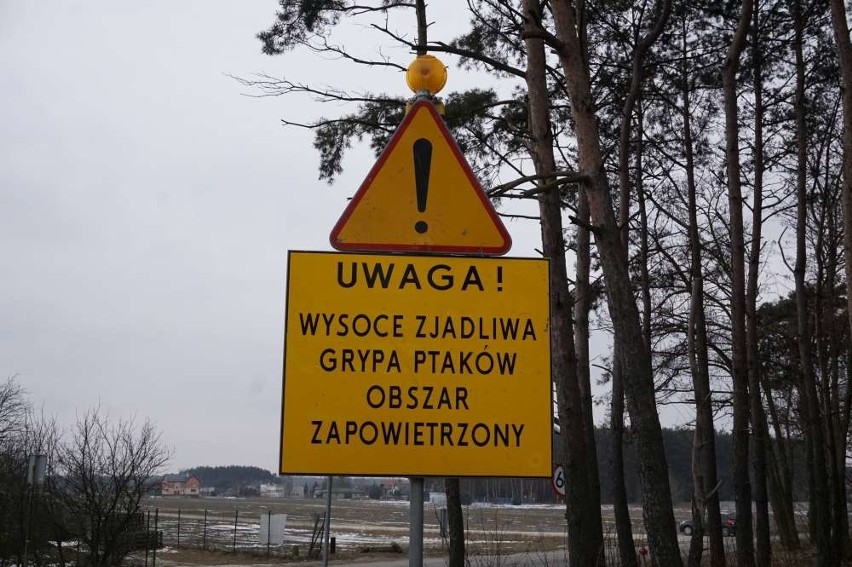 Przed wjazdem do Bolesławca ustawiono znaki ostrzegawcze