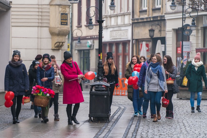 Nowy Sącz. Wręczali kwiaty za datek do puszki [ZDJĘCIA]