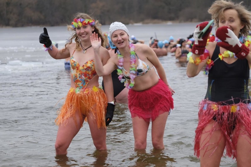 Bydgoskie morsy zapraszają na plażę w Pieckach w środy o...