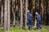 Balon z metalową płytką znaleziony w lesie w Wielkopolsce służył do badania powietrza. Ekspert wyjaśnia, co to mogło być