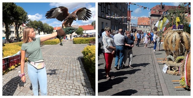 Dożynki w Mieszkowicach