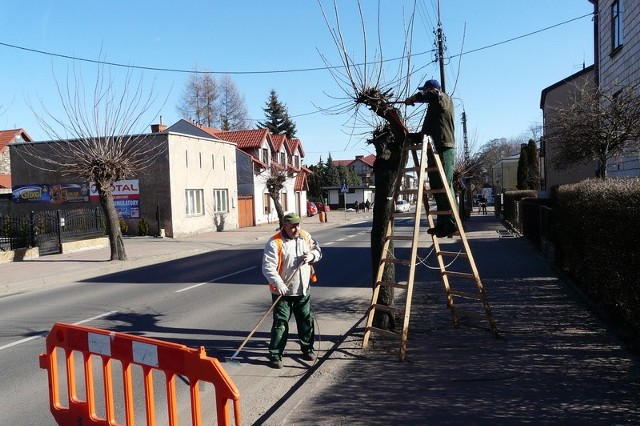 Nie tylko na ulicy Krakowskiej trzeba było przyciąć gałęzie drzew.