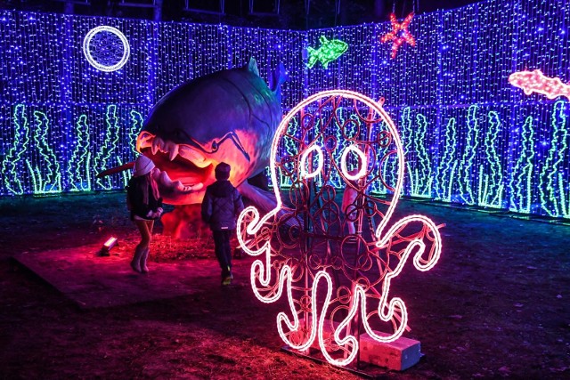 Wielkie otwarcie Lumina Parku w Myślęcinku w sobotę (5 listopada) o godz. 16.30, ale już w piątek (4 listopada) organizatorzy zaprosili na premierowy, multimedialny „Spacer w milionie świateł”.