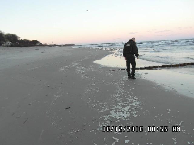 Plaża w Ustce zanieczyszczona parafiną.