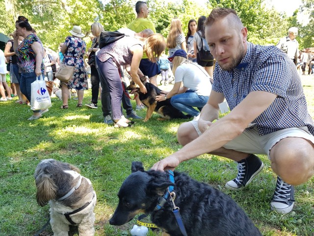 Do godziny 16 potrwa VI Piknik Przyjaciół Schroniska. Całkowity dochód z imprezy będzie przeznaczony na funkcjonowanie dla Schroniska dla Bezdomnych Zwierząt w Toruniu. >> Najświeższe informacje z regionu, zdjęcia, wideo tylko na www.pomorska.pl 