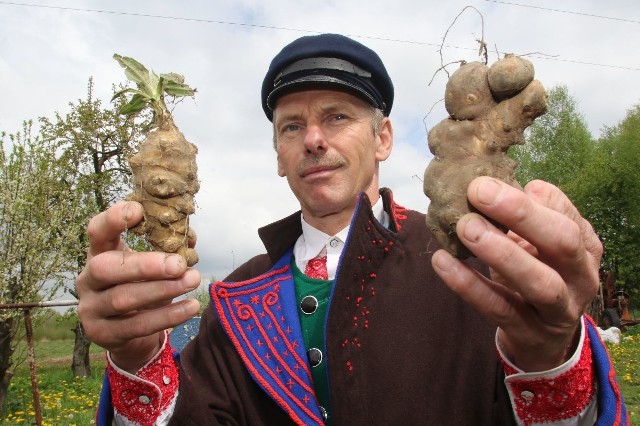 Szymon Płusa, rolnik ze Skarżyska - Kościelnego,   zawładnął sceną podczas konkursu Chłop Roku 2019 w Janowiczkach koło Racławic  w Małopolsce. Z pomocą Małgorzaty Stępień zdeklasował konkurentów i otrzymał najważniejszy tytuł.  Nam opowiedział o szczegółach konkursu, swoim gospodarstwie, wyjątkowej uprawie topinamburu i... wypalaniu z niego kawy.   Zobacz na kolejnych slajdach>>>  ZOBACZ TAKŻE: II Świętokrzyskie Forum Rolnicze 1 maja w Tokarni koło Kielc! Posłuchaj o stawkach pomocy i kierunkach rozwoju [TRANSMISJA TELEWIZYJNA OD 9]