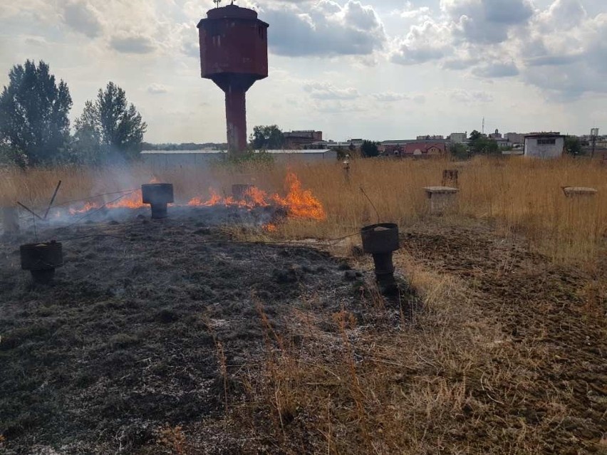 Pożar na dachu bydynku dawnych zakładów metalowych w Radomiu. Paliła się trwa i zarośla na dachu