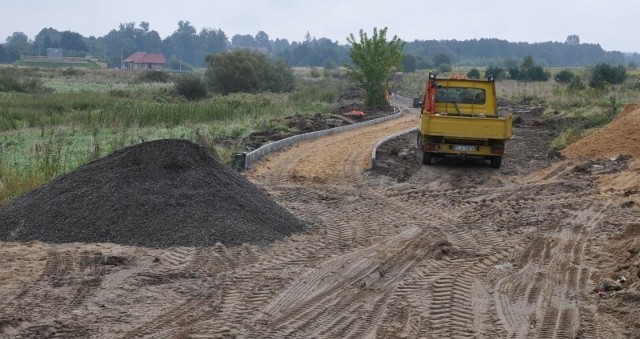 Aleja dębowa powstanie pomiędzy ulicami Browarną i Południową w Końskich.