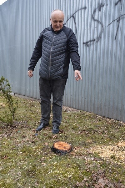 Nowy Sącz. Mieszkańcy bloków STBS nie zdążyli obronić drzew 