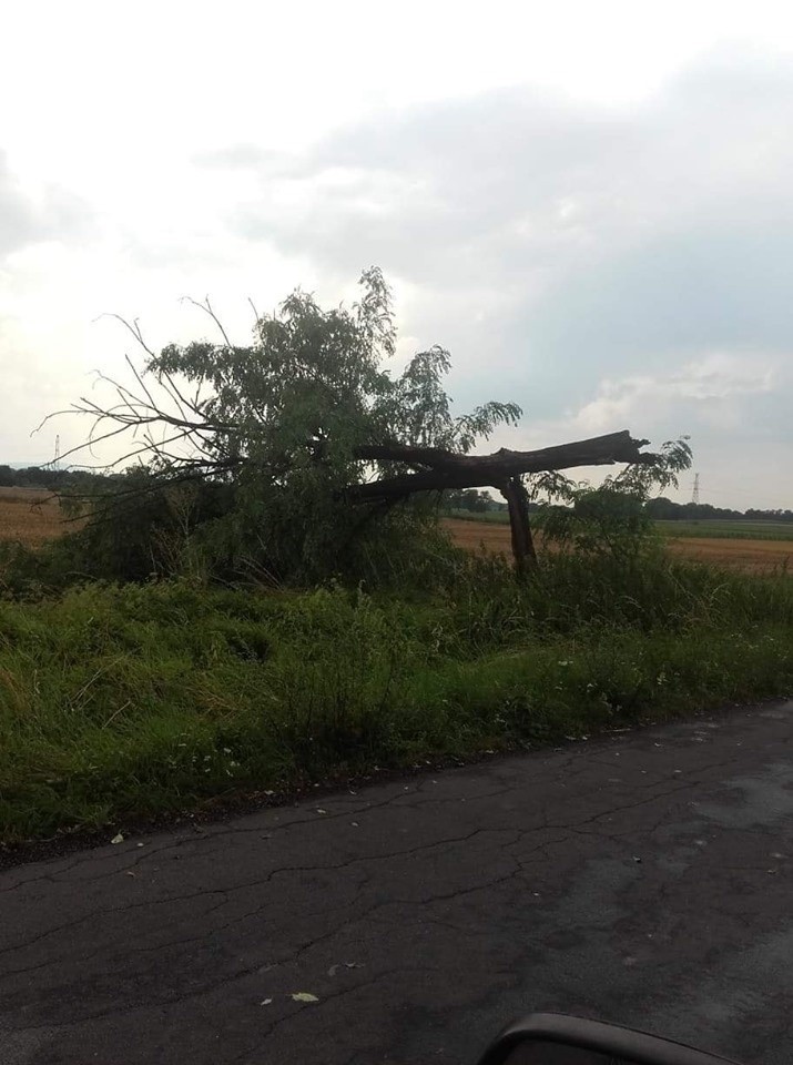 Burze w regionie. Lokalnie mocne ulewy, grad i wichury [ZDJĘCIA]